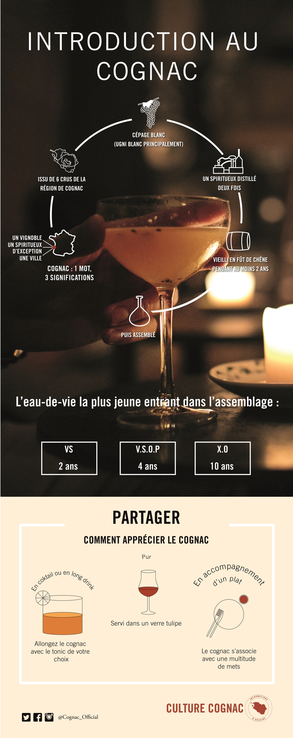 introduction cognac découverte