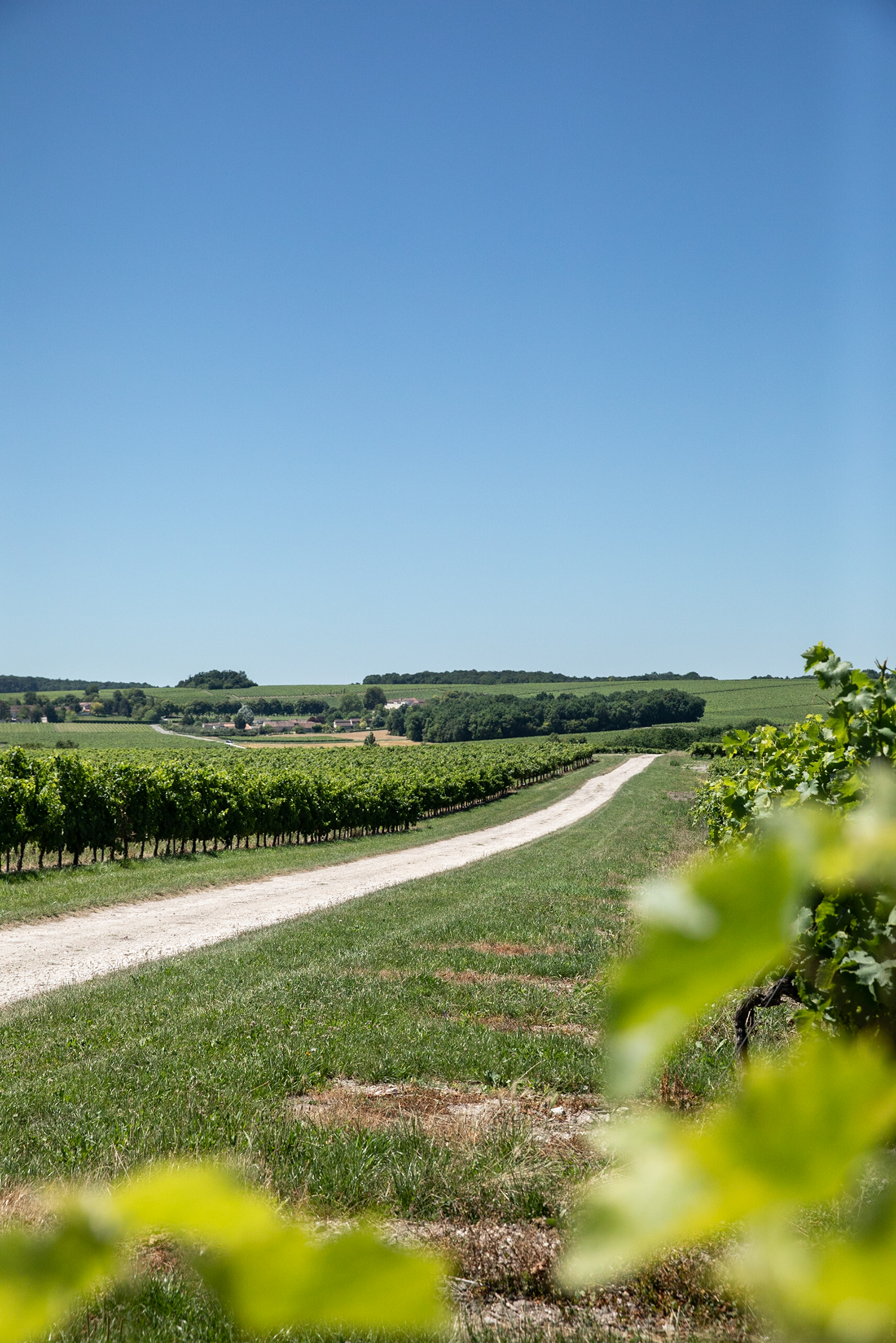 Explore Cognac @Thepineapplechef