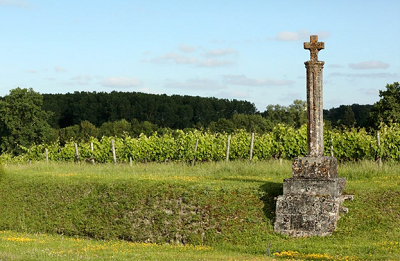 À Ambleville, en Grande Champagne, une belle croix de pierre veille sur les vignes.