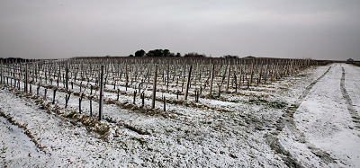 From December to March, the Charentes are hit by disturbances from the west and southwest, but very rarely covered with snow.